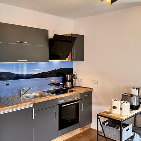Ferienwohnung Niki ティティゼー・ノイシュタット エクステリア 写真