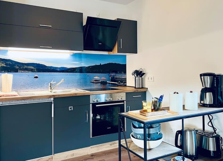 Ferienwohnung Niki ティティゼー・ノイシュタット エクステリア 写真