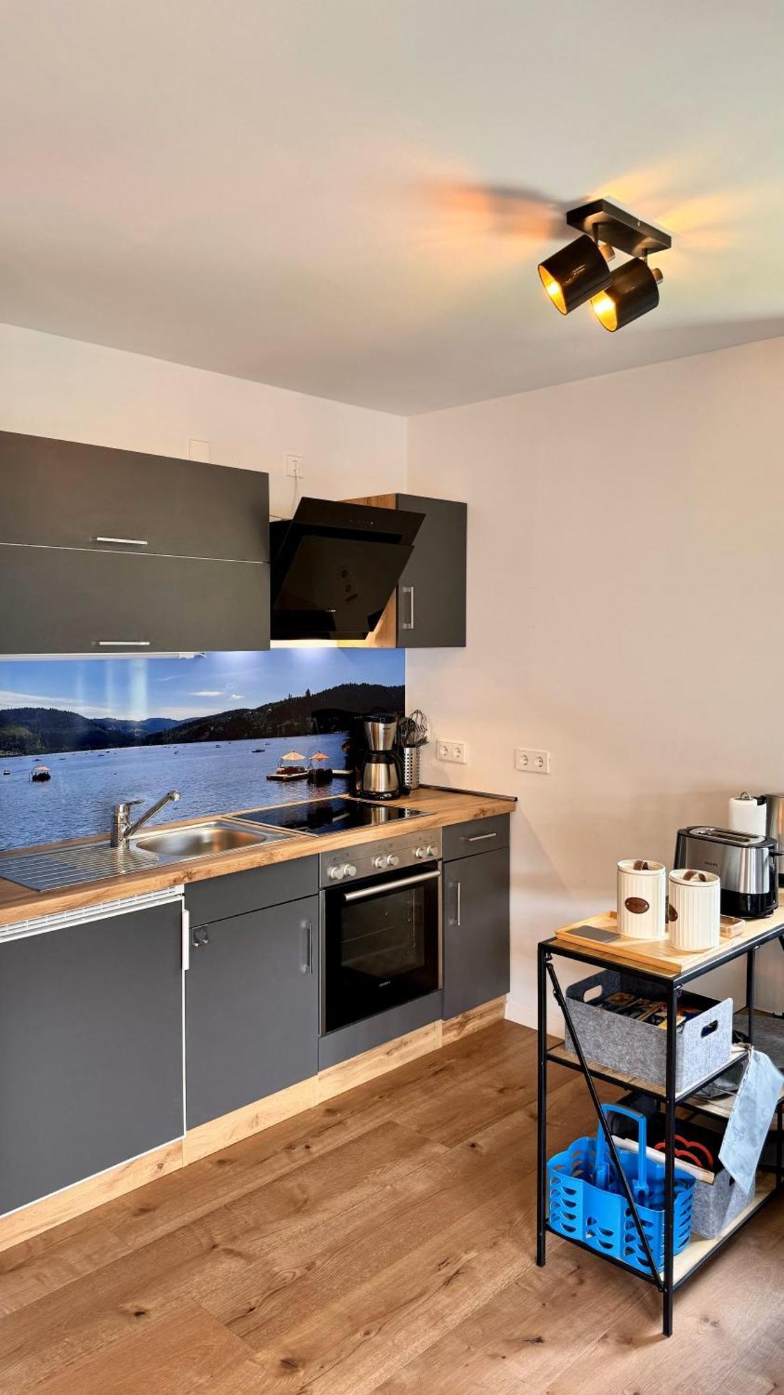 Ferienwohnung Niki ティティゼー・ノイシュタット エクステリア 写真